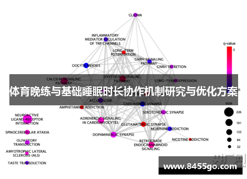 体育晚练与基础睡眠时长协作机制研究与优化方案