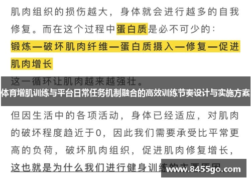 体育增肌训练与平台日常任务机制融合的高效训练节奏设计与实施方案